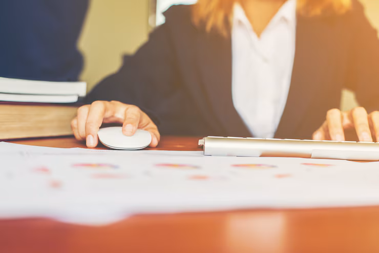 court representation and legal advocacy services